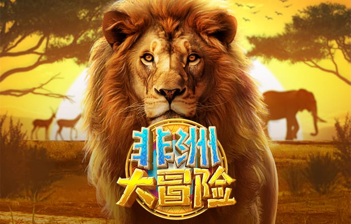 手机版w66